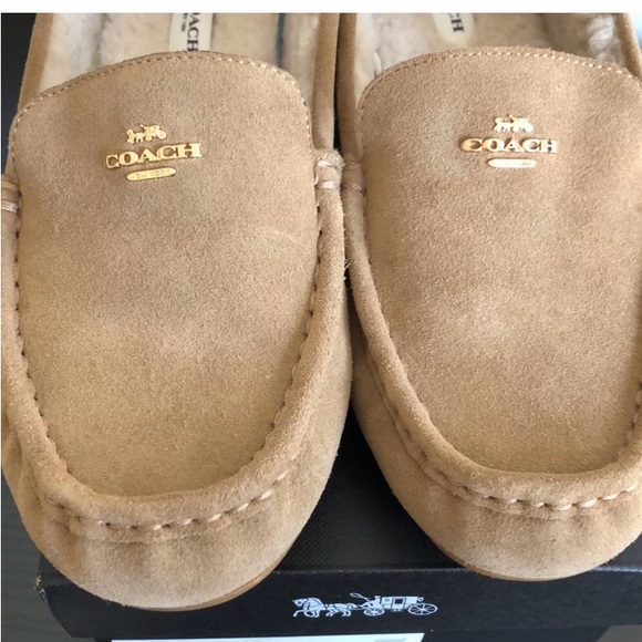 Coach Loafers - Picture 3 of 3